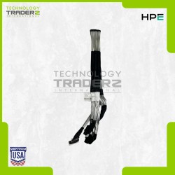 P46031-001 HPE DL380 Gen11 Port 1&2 X4 TO PRI Port 1&2 X4 Cable P58226-001